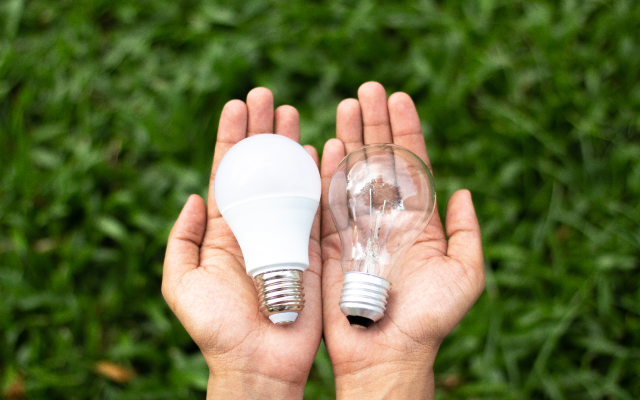 Person holding two light bulbs in their hands